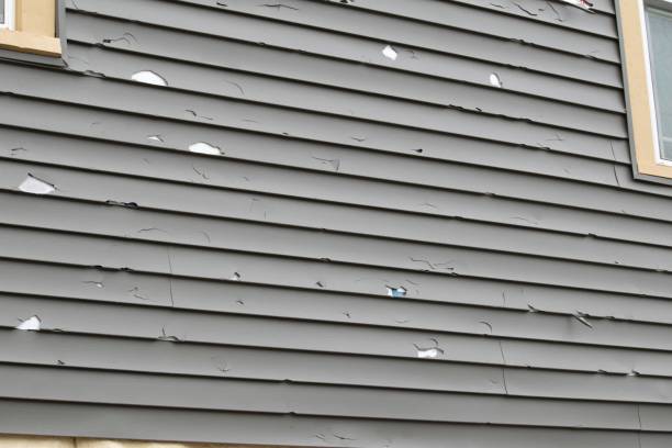Best Residential Junk Removal  in Pine Bluffs, WY